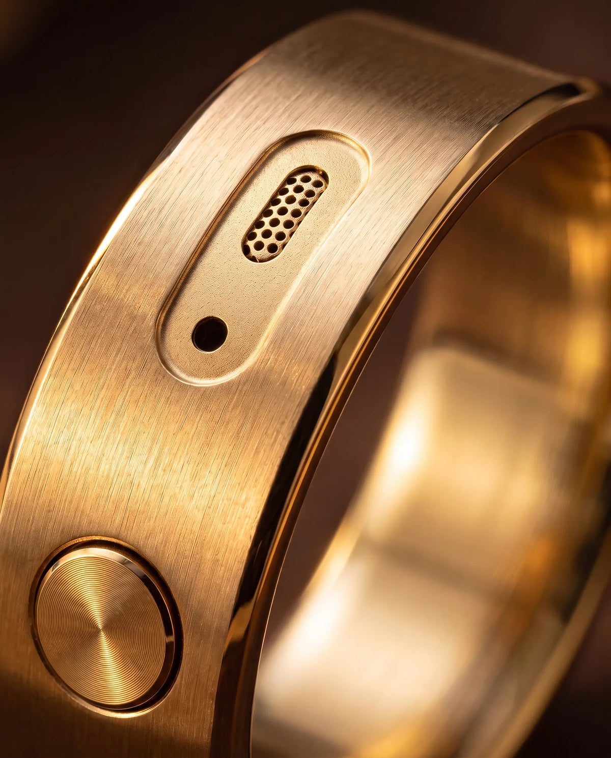 Close-up of the microphone grille on the gold ring